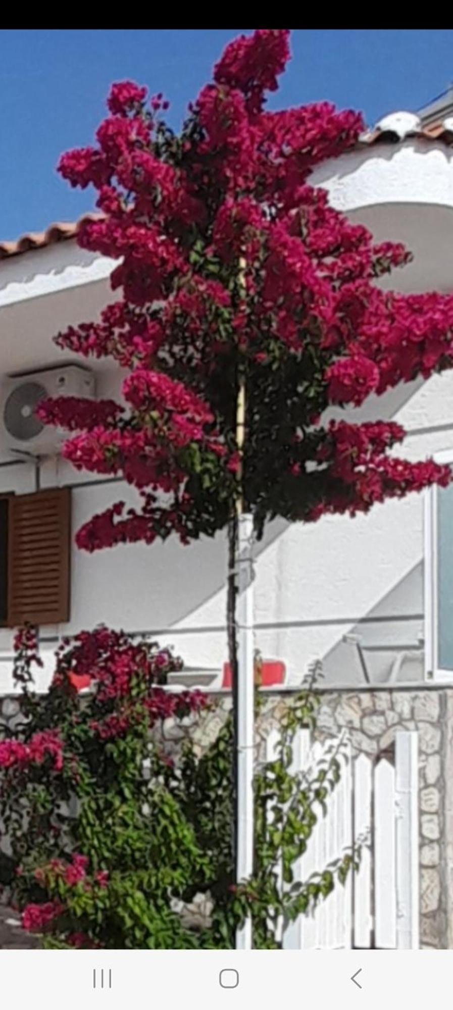 Luxury Dennis Home Sarandë Exterior foto